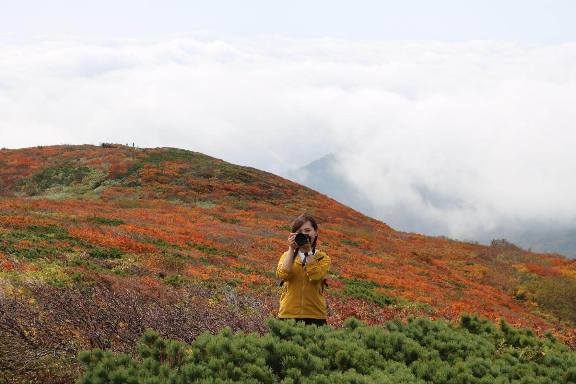 秋の栗駒山で写真を撮影する女性