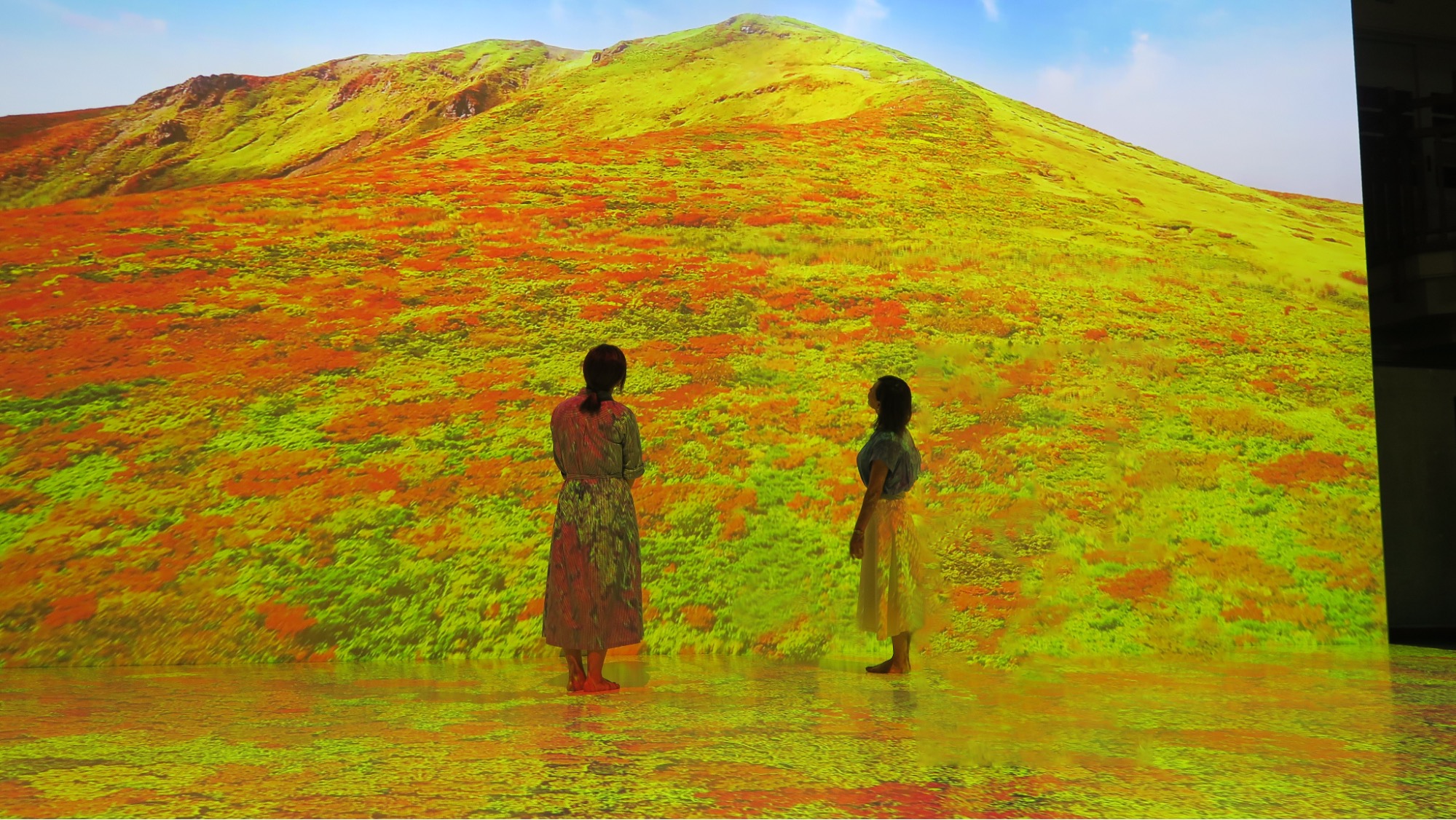 大きなスクリーンに映し出される  栗駒山の紅葉「神の絨毯」は迫力満点