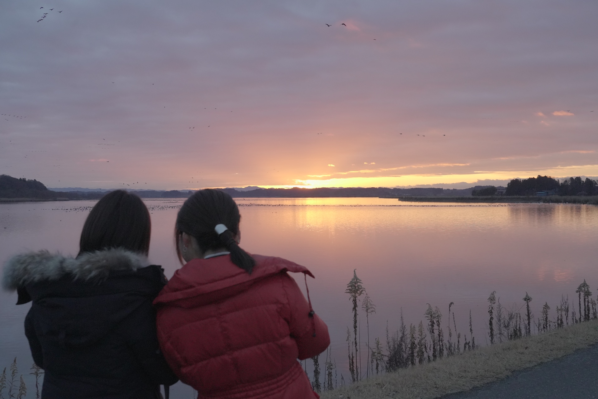 美しい日の出を見つめる二人。伊豆沼・内沼は、世界でも希少な湖沼として知られている。