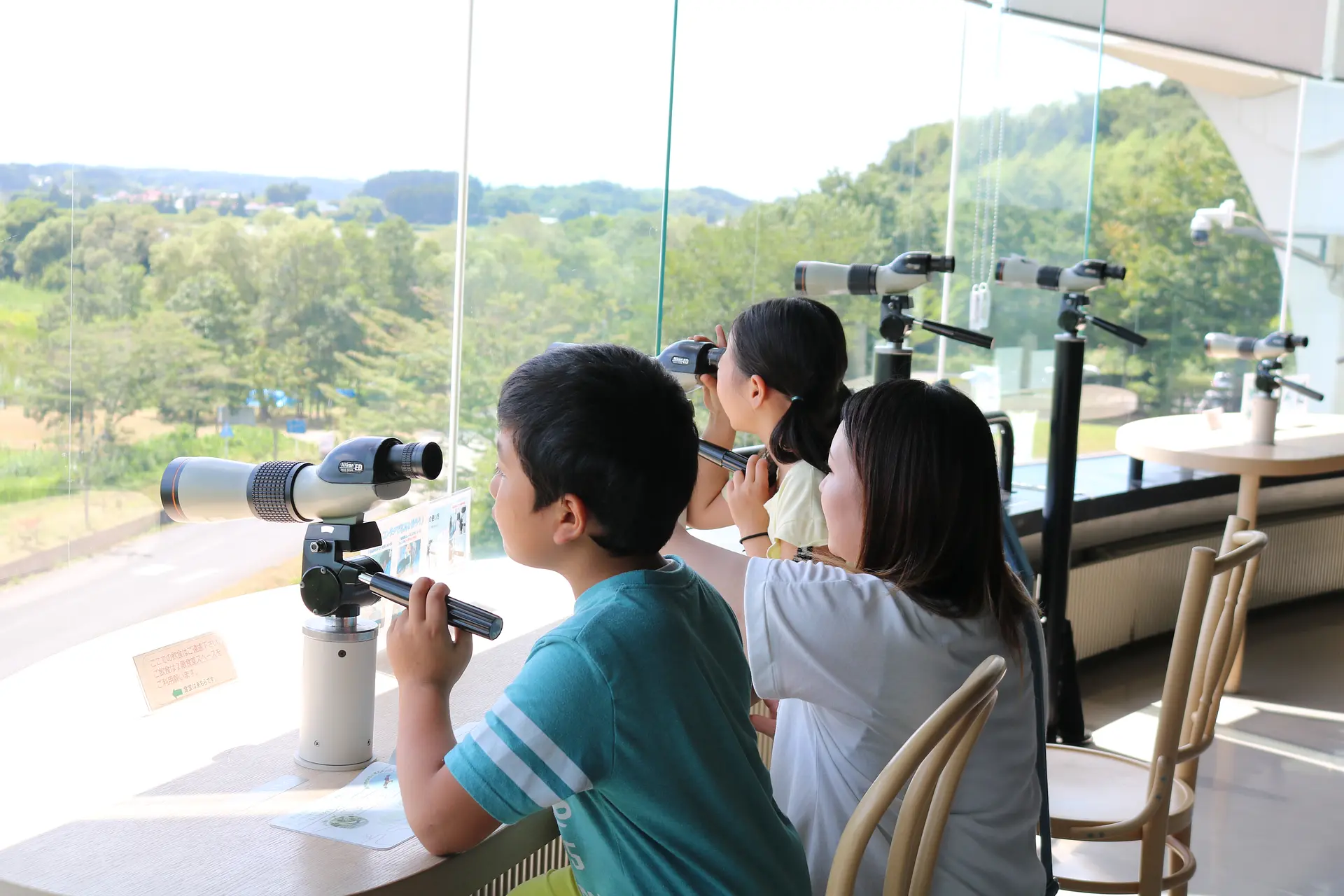 親子で楽しむ夏休み