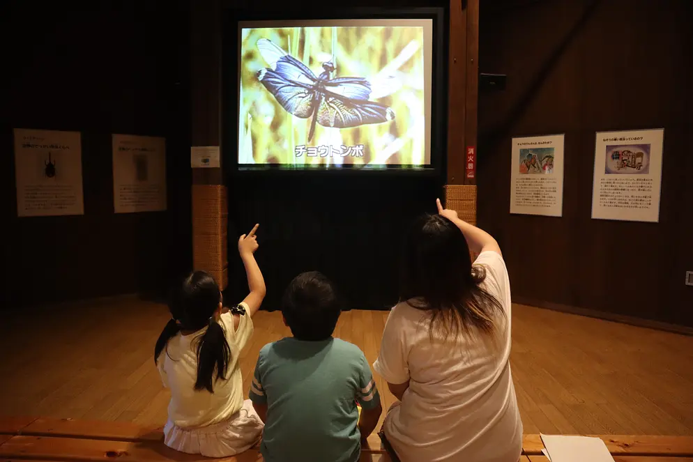 【親子で満喫コース】夏休みの思い出に！自然・歴史をぐるっと楽しむわくわく旅（約５時間）