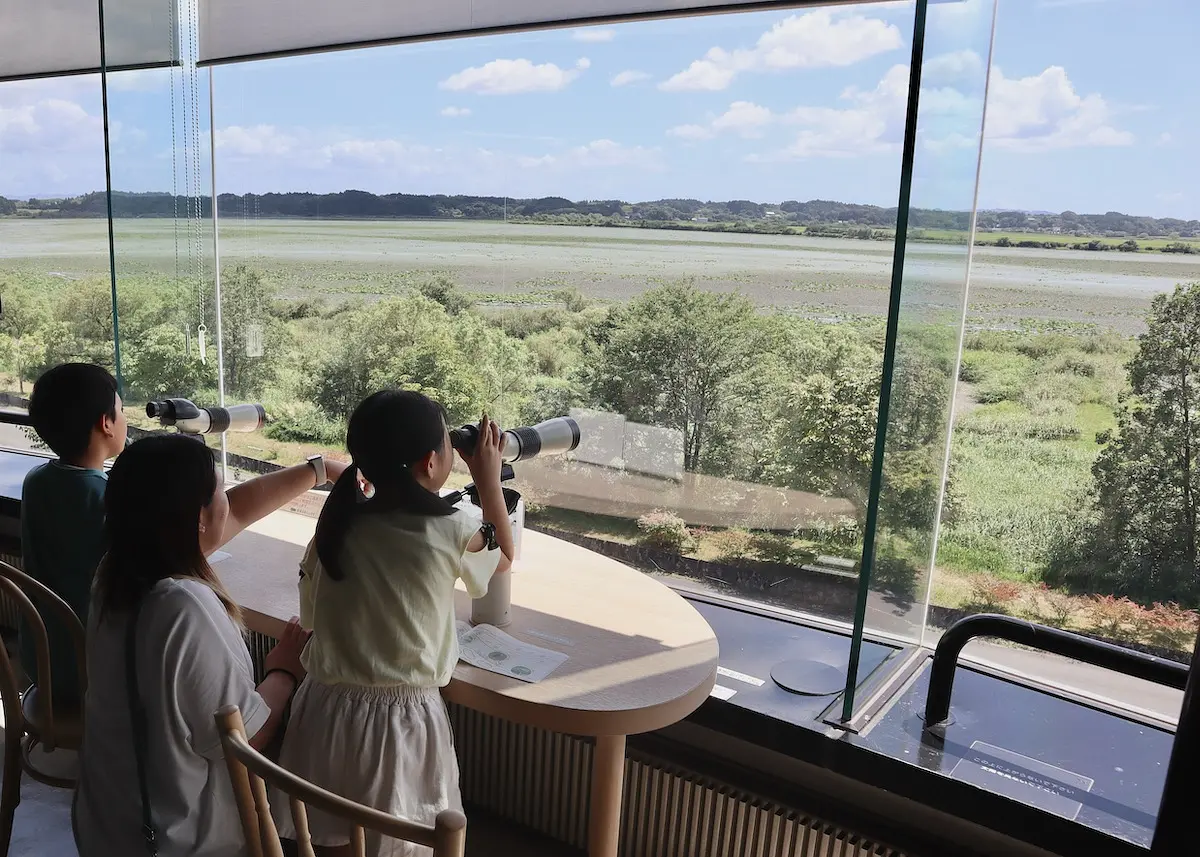 宮城県伊豆沼・内沼サンクチュアリセンター（鳥館）