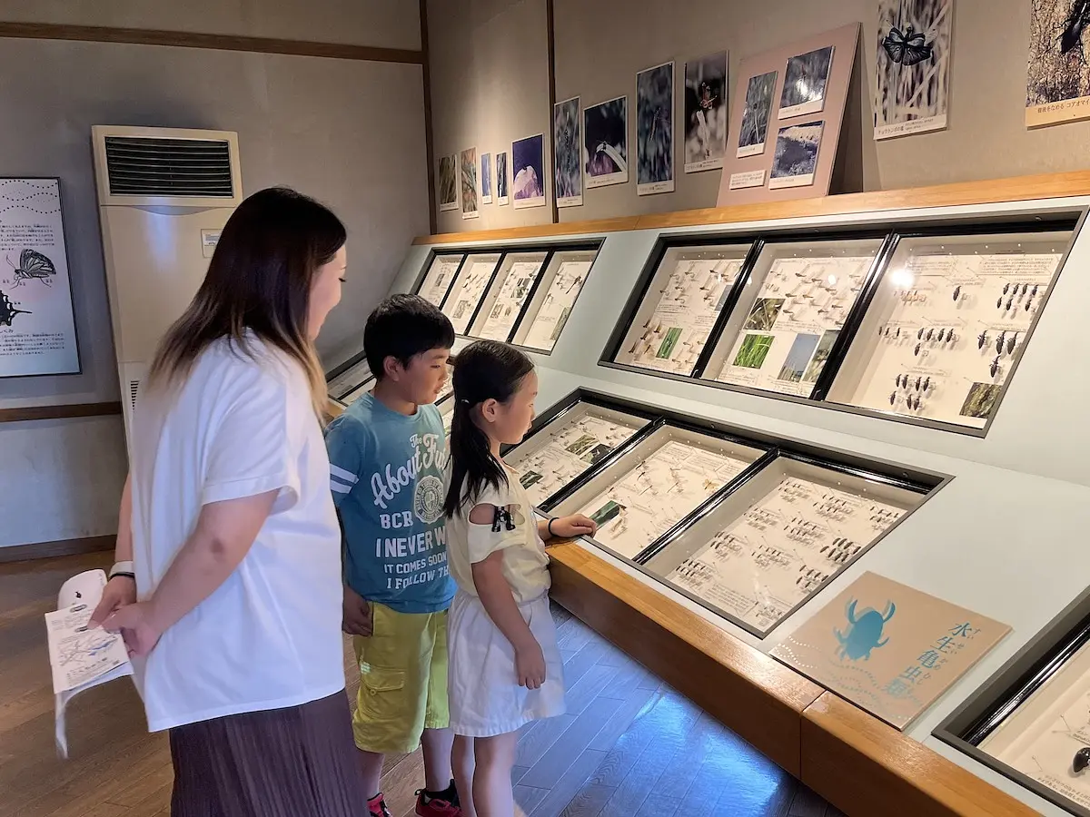 栗原市サンクチュアリセンター つきだて館（昆虫館）