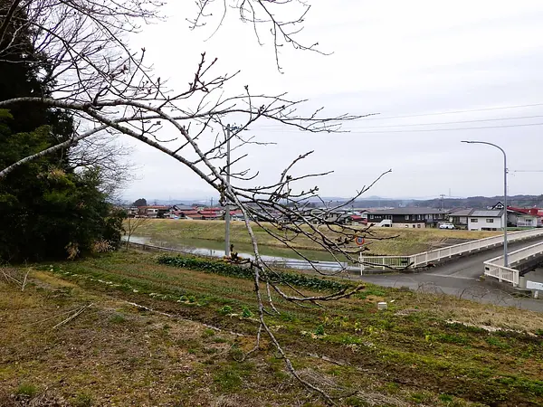 04.03　臥牛館公園.jpg