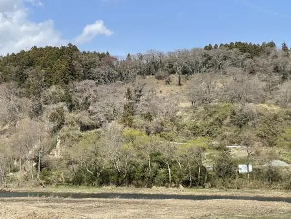 鹿嶋館（龍雲寺西）.jpg