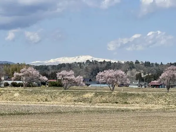 昔川沿い.jpg