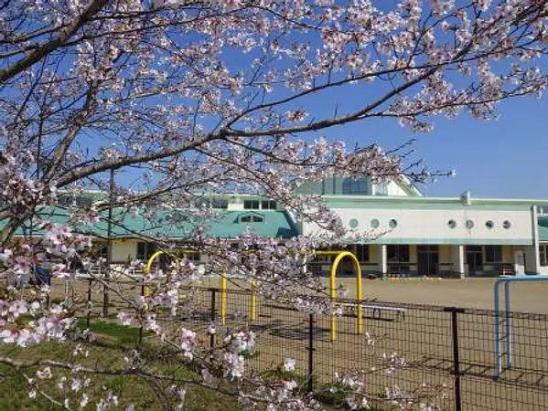 4.15　けやき公園1　満開.jpg