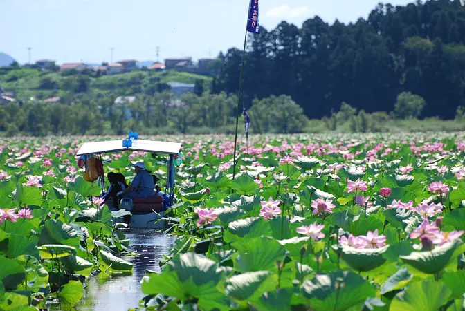 【必見】くりはらの7月のイベントやお祭り情報