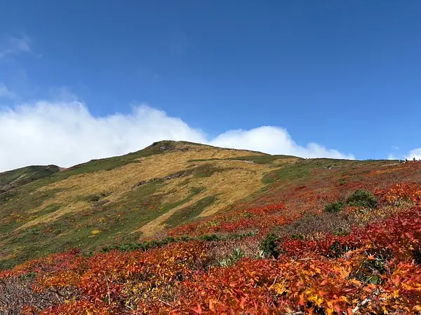 栗駒山の見ごろ情報（トレッキング・紅葉）