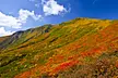 IMG_7410.jpg