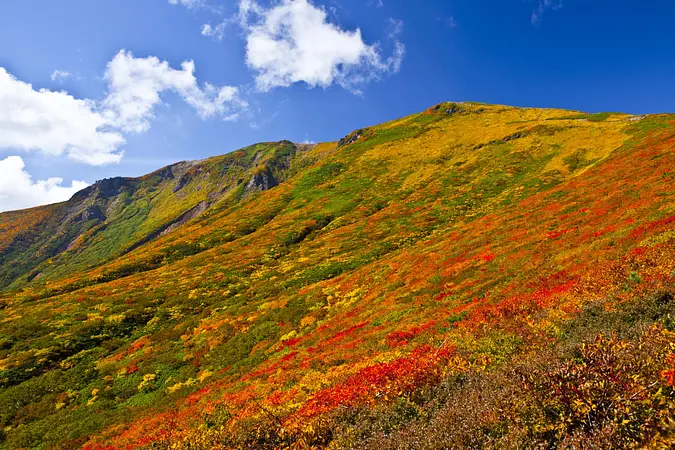 【栗駒山の紅葉を見に来られる方へ】栗駒山交通渋滞対策の実施等について(お願い)