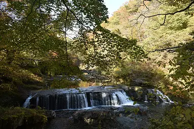 浅布渓谷の見ごろ情報