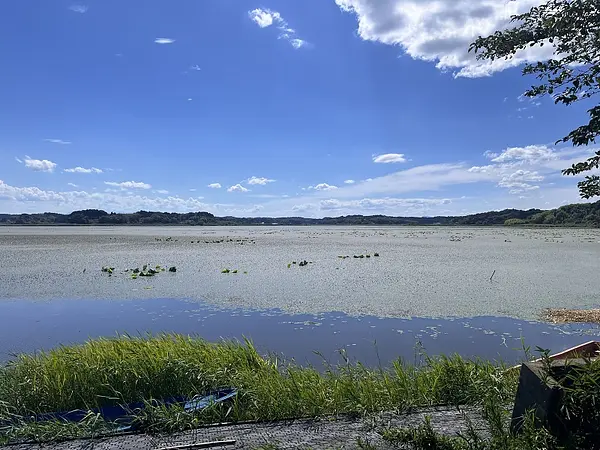 内沼①.jpg