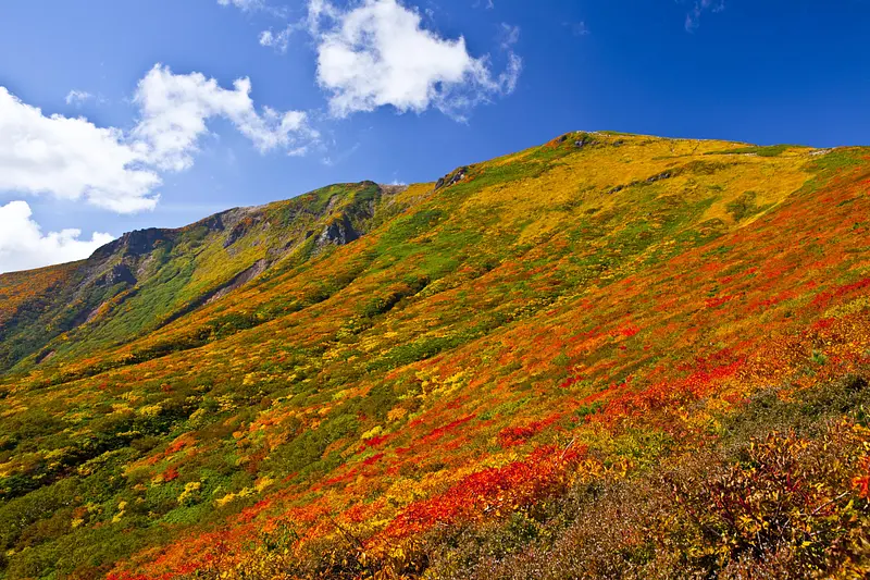 栗駒山（紅葉情報）