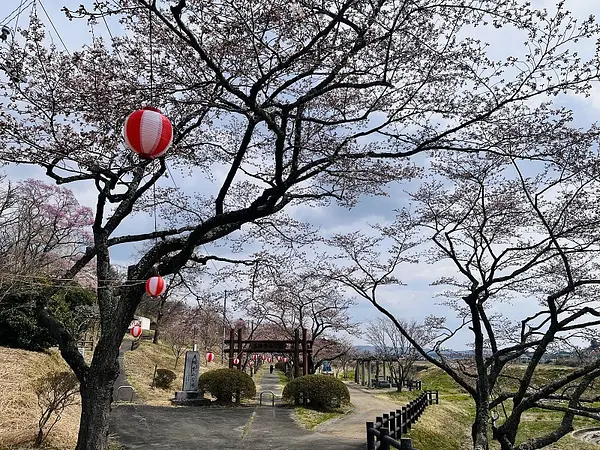 2025.04.11　五輪堂山公園1.jpg
