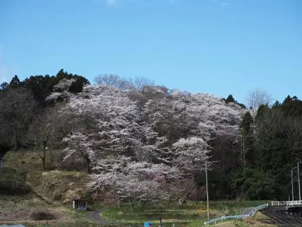 2025.04.16　臥牛館公園2.jpg
