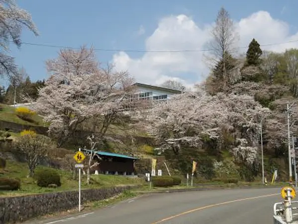 2025.04.17　花山小学校 (1).jpg