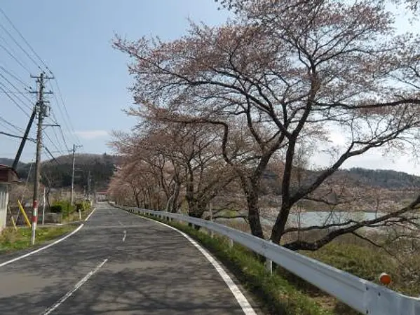 2025.04.17　ダム湖畔 (1).jpg