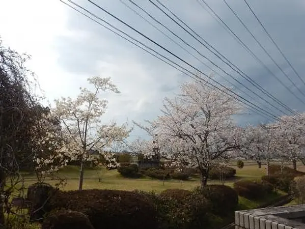 2025.04.17　カリヨン公園2.jpg