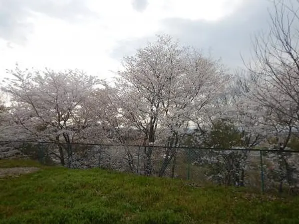 2025.04.17　大平ふれあいセンター1.jpg