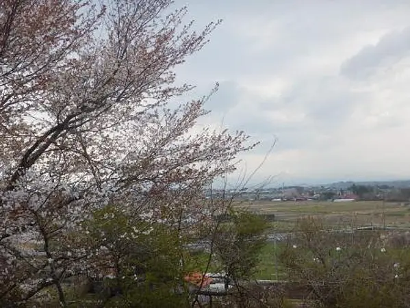 2025.04.17　大平ふれあいセンター2.jpg