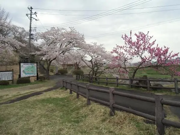 2025.04.18　五輪堂山公園3.jpg