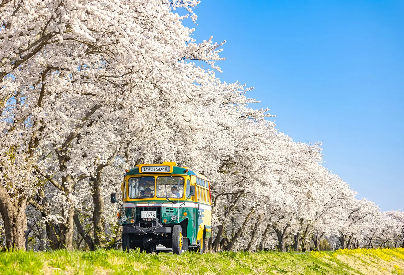 【必見】くりはらの令和8年4月のイベントやお祭り情報