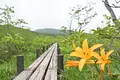 DSC_0672.jpg