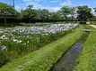IMG_6664.jpg