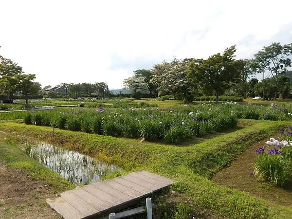 IMGP0200.jpg