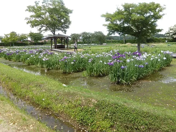 IMGP0321.jpg