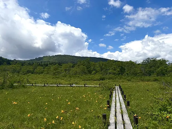 世界谷地原生花園の見ごろ情報