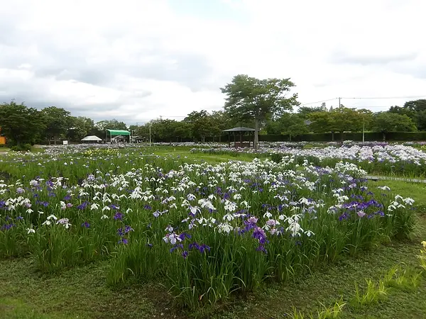 IMGP0397.jpg