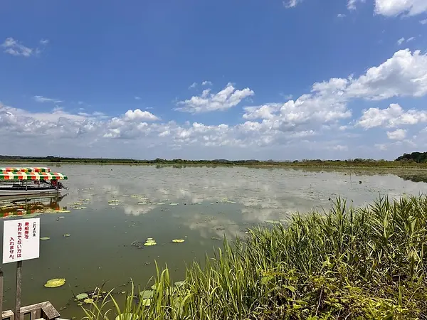 IMG_9745.jpg
