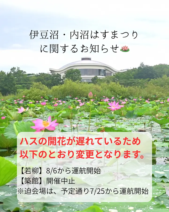 【伊豆沼・内沼はすまつり】お知らせ