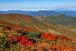 IMG_6649.jpg