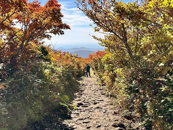 栗駒山の見ごろ情報（トレッキング・紅葉）