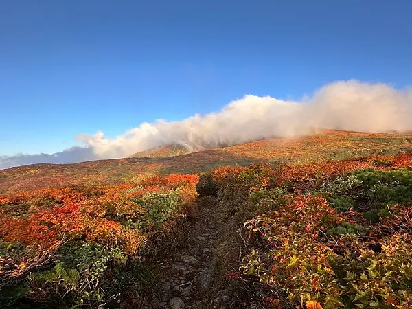 栗駒山の見ごろ情報（トレッキング・紅葉）