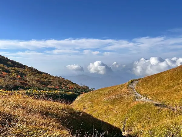 栗駒山の見ごろ情報（トレッキング・紅葉）