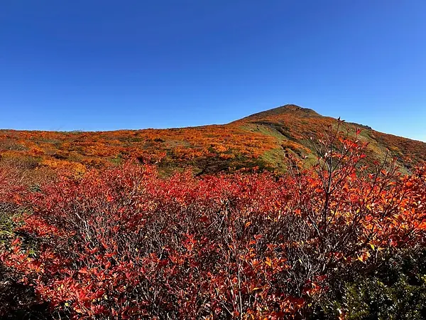 栗駒山の見ごろ情報（トレッキング・紅葉）