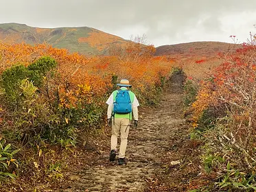 栗駒山の見ごろ情報（トレッキング・紅葉）