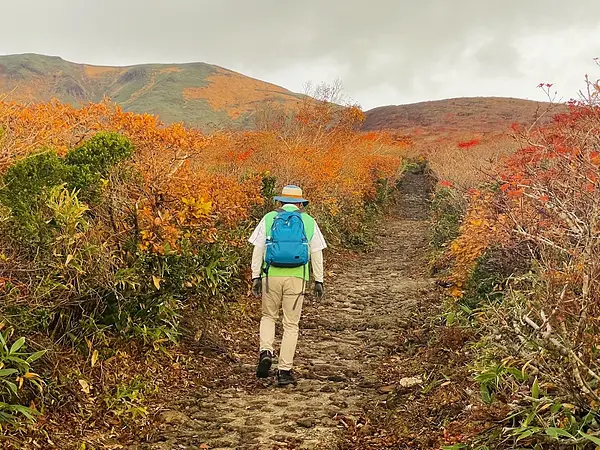 栗駒山の見ごろ情報（トレッキング・紅葉）