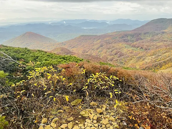 栗駒山の見ごろ情報（トレッキング・紅葉）