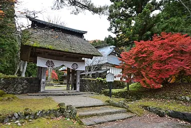 花山地区の紅葉の見ごろ情報