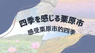 台湾旅行会社訪問資料【訂正版】_page-0001.jpg