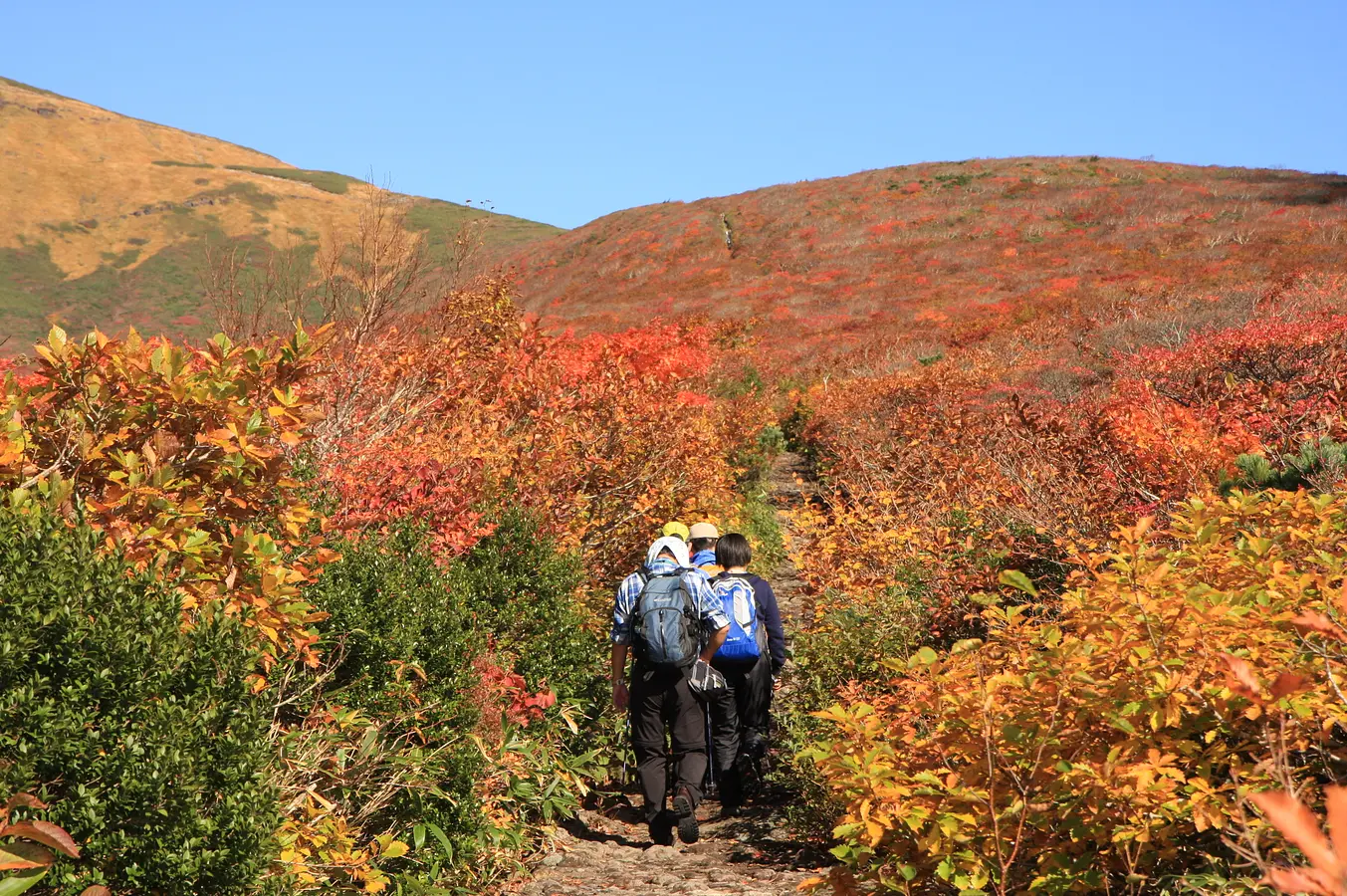 栗駒山の紅葉を満喫する平日限定バスが運行決定！