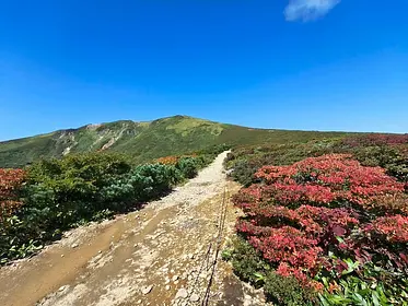 栗駒山の見ごろ情報（トレッキング・紅葉）