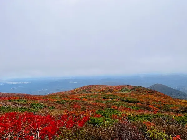 栗駒山の見ごろ情報（トレッキング・紅葉）