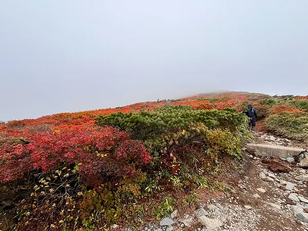 栗駒山の見ごろ情報（トレッキング・紅葉）