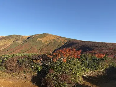 栗駒山の見ごろ情報（トレッキング・紅葉）